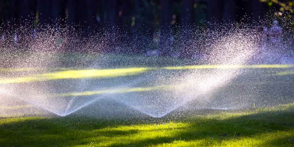 Automatic Watering Of Lawns In The Park. Watering Decorative Grass In The Recreation Area Of the C