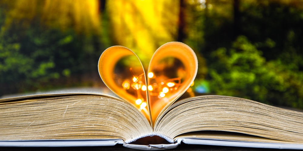 Book With Love Symbol Isolated On Forest Nature Background