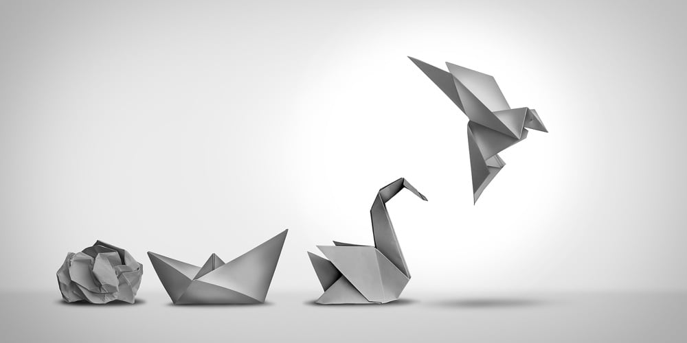 Changing For Success As A Leadership And Business Change Through Innovation And Evolution Of Ability