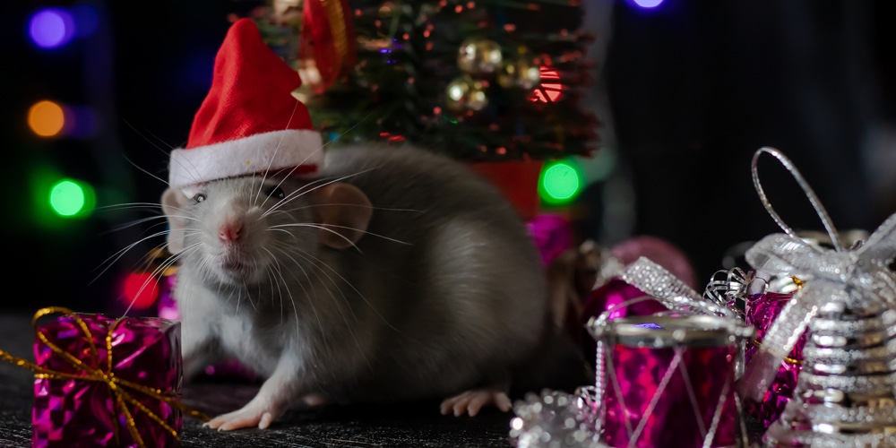 Christmas Rat Symbol Of The New Year 2020. Year Of The Rat. Chinese New Year 2020. Christmas Toys