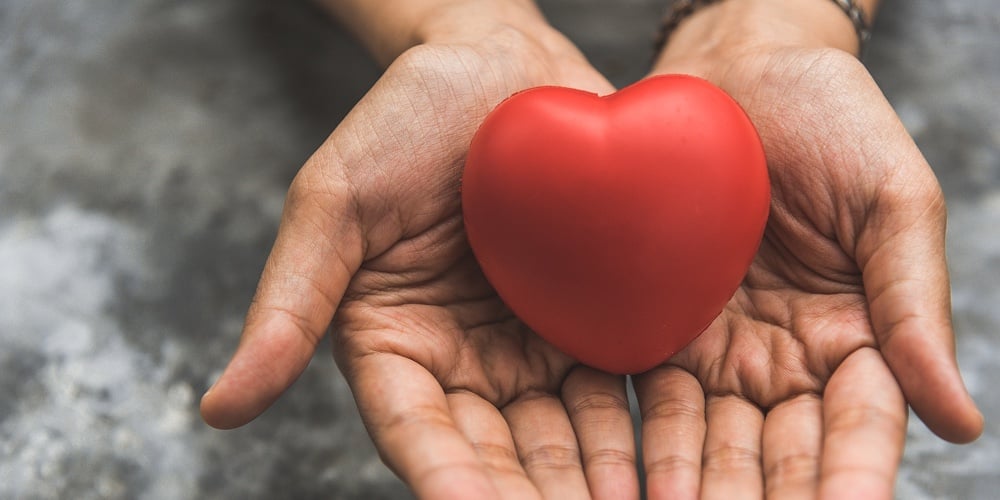 Close Up Female Hands Giving Red Heart As Heart Donor. Valentine Day Of Love Concept. Medical Ventil
