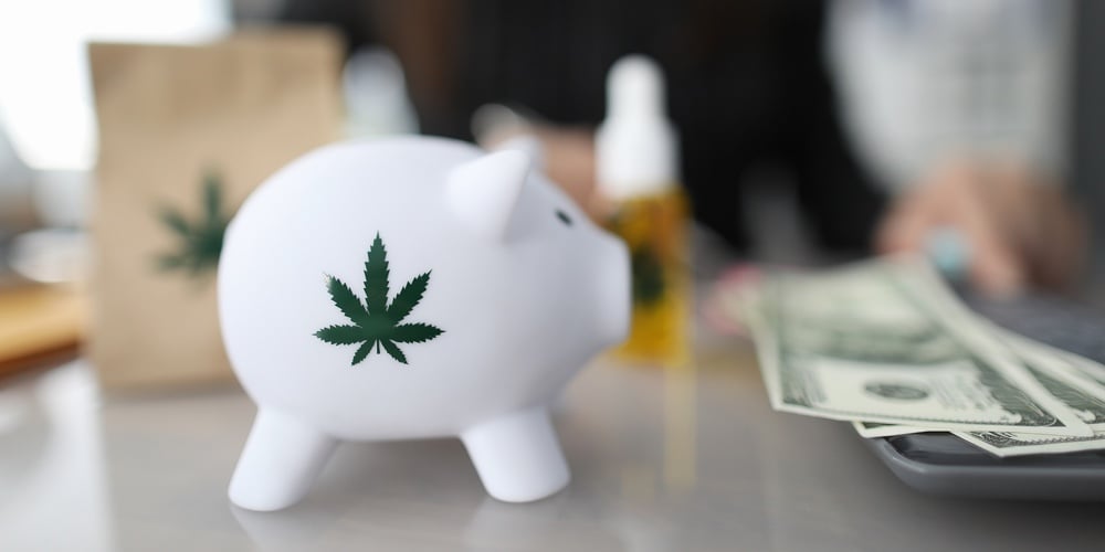 image1|Close-up Of Piggy Bank With Green Sign Of Cannabis. Paper Package And Bottle Of Cannabinoid Oil With