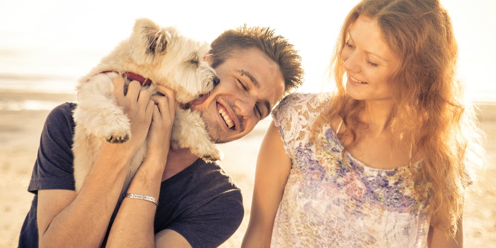 bigstock-Couple-Walking-With-Dog-Outdoo-93063038