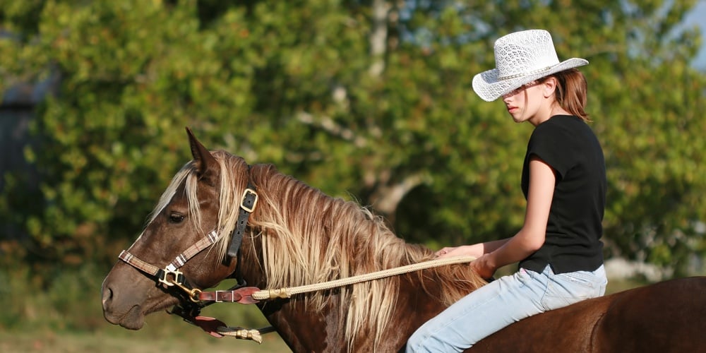 Cowgirls And Mustangs