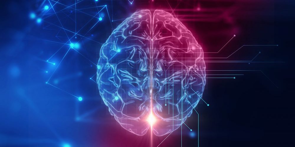 3D Rendering Of Human  Brain On Technology Background