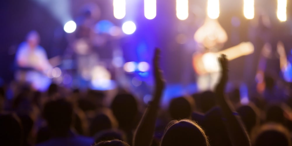 Fan cheering at live concert