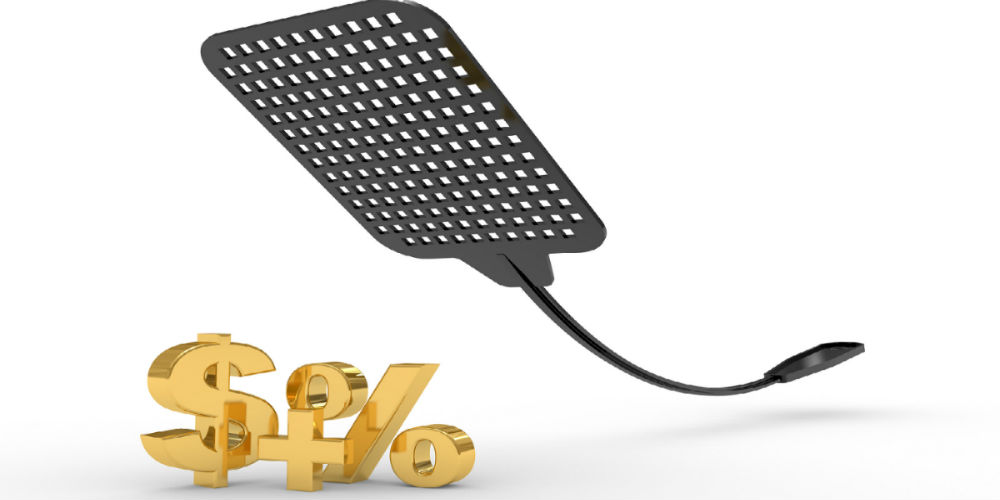 bigstock-Fly-Swatter-Isolated-On-White–8043013