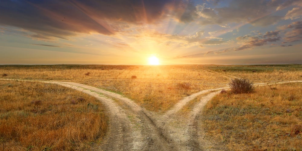 Fork roads in steppe on sunset background
