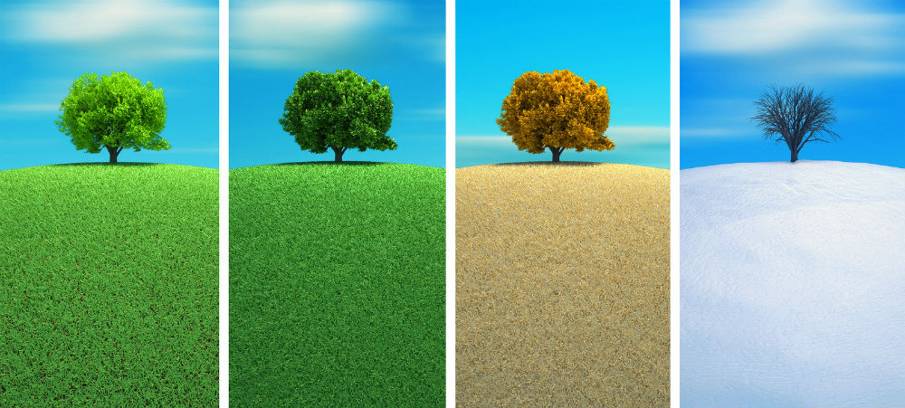 bigstock-four-seasons-9695627|bigstock-four-seasons-96956271