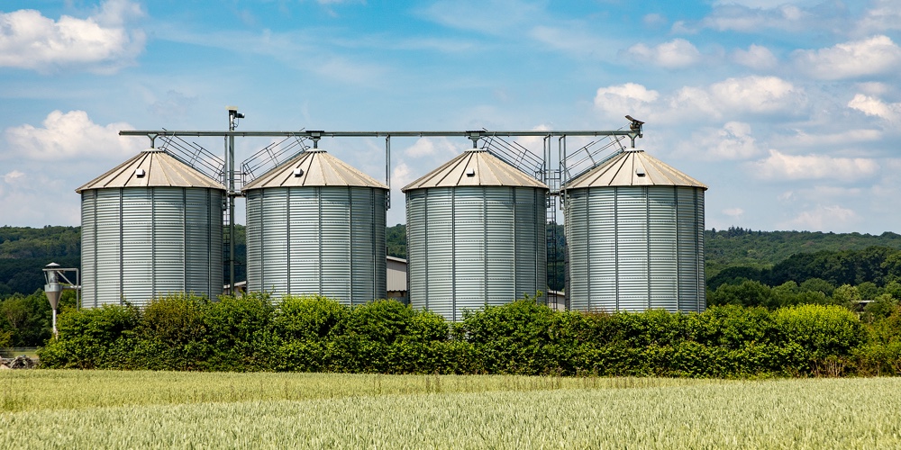 Four Silos In Rural Area At The Field In Spring Time With Green Field In Foreground And Blue Sky