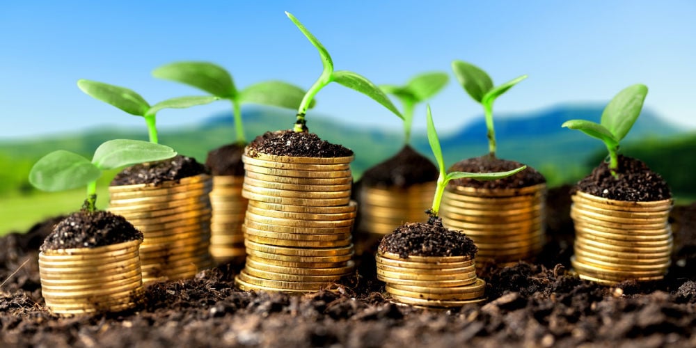 bigstock-Growth-110009111