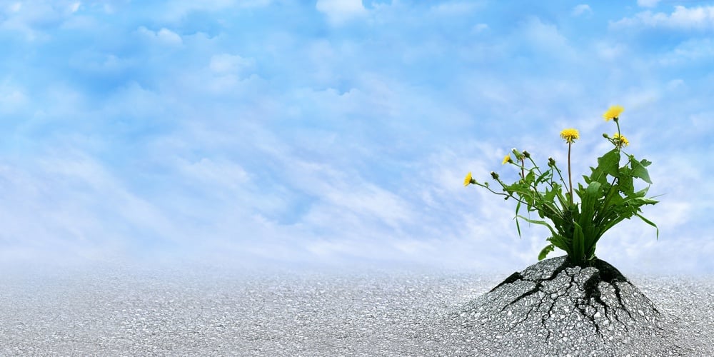 bigstock-Inspirational-Presentation-100294478