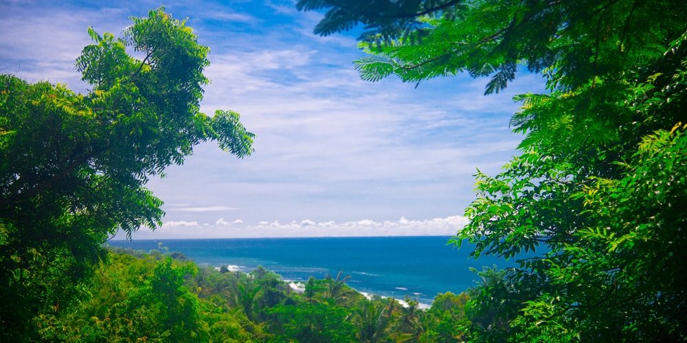 Landscape Of The Bali Island