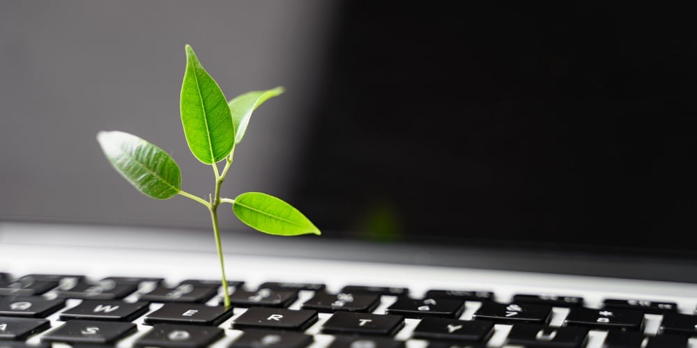 bigstock-Laptop-Keyboard-With-Plant-Gro-417301174