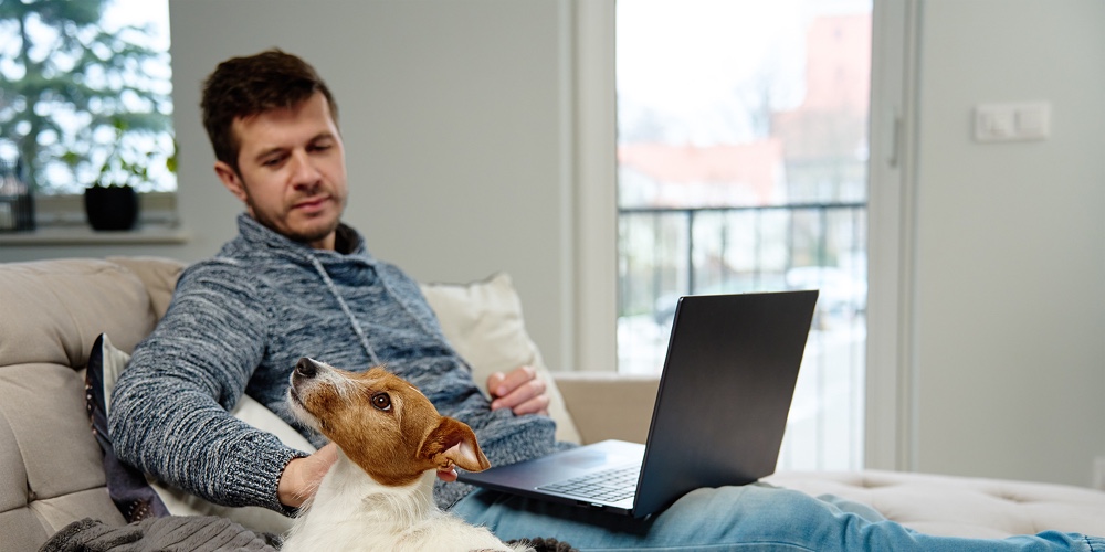 Man Sitting On Sofa In Living Room And Using Laptop