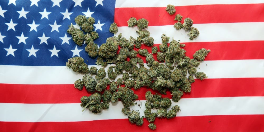 bigstock-Marijuana-Cannabis-American-293360626