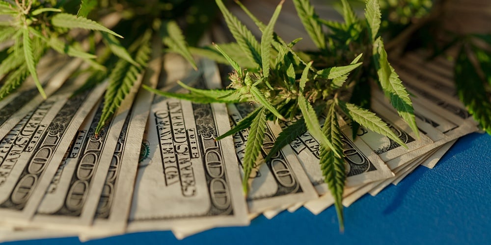 bigstock-Marijuana-Leaf-And-Us-Dollar-B-391963688