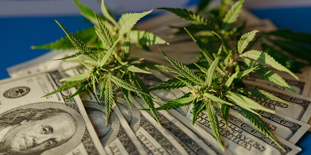 Marijuana Leaf And Us Dollar Banknote. Marijuana Business Concept. Marijuana Drug Sales. Cannabis Wi