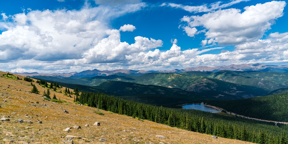 Mountain Slope View Thick Green Forest Amazing Green Rocky Mountain Landscape On Mount Evans Wildern
