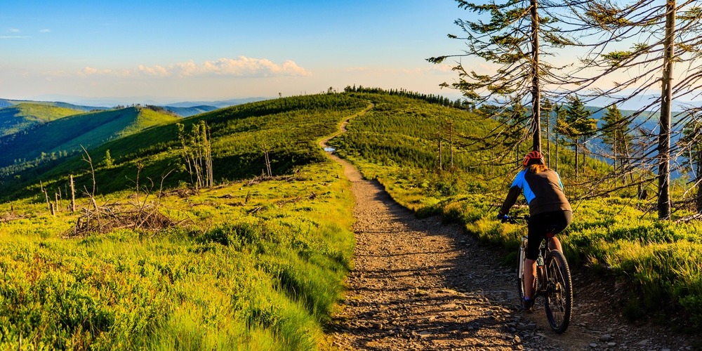 Mountain biking cycling at sunset in summer mountains forest landscape. Woman cycling MTB flow trail