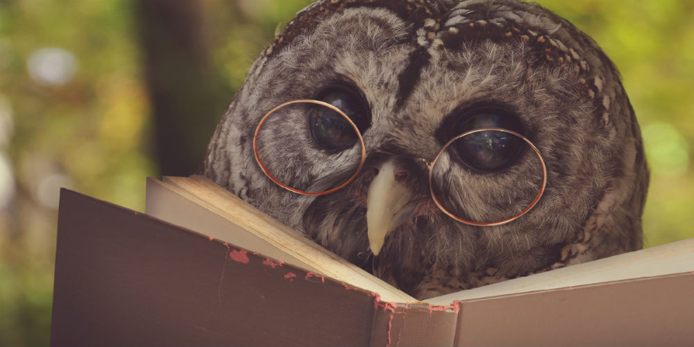 bigstock-Owl-In-Glasses-Reading-Old-Sch-91219496