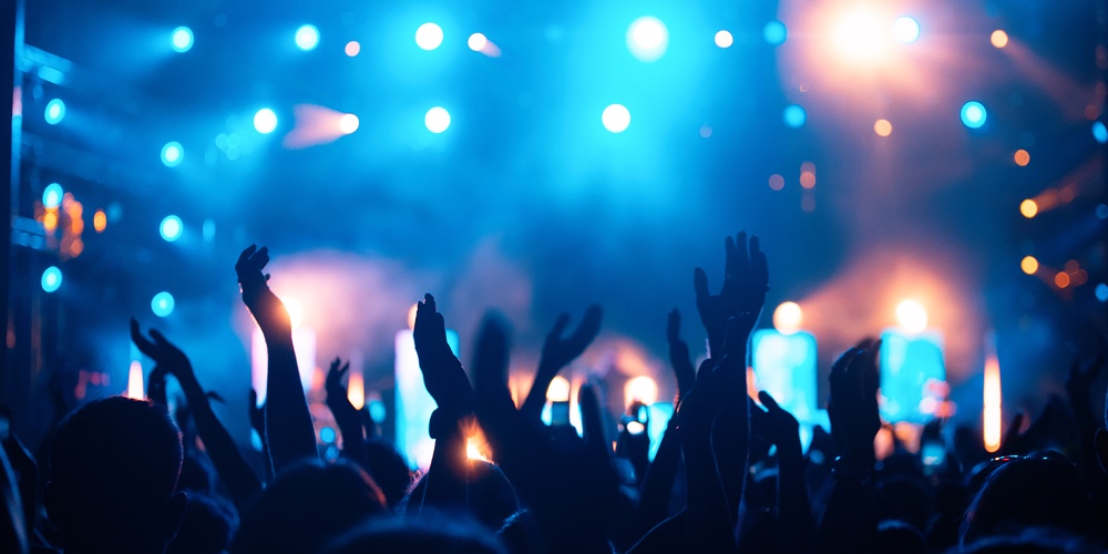 Party People Enjoy Concert At Festival. Summer Music Festival