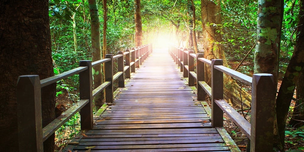 Perspective Of Wood Bridge In Deep Forest Crossing Water Stream And Glowing Light At The End Of Wood