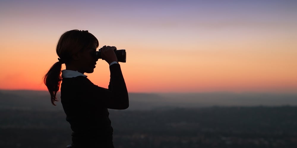 Silhouette Of Business Woman