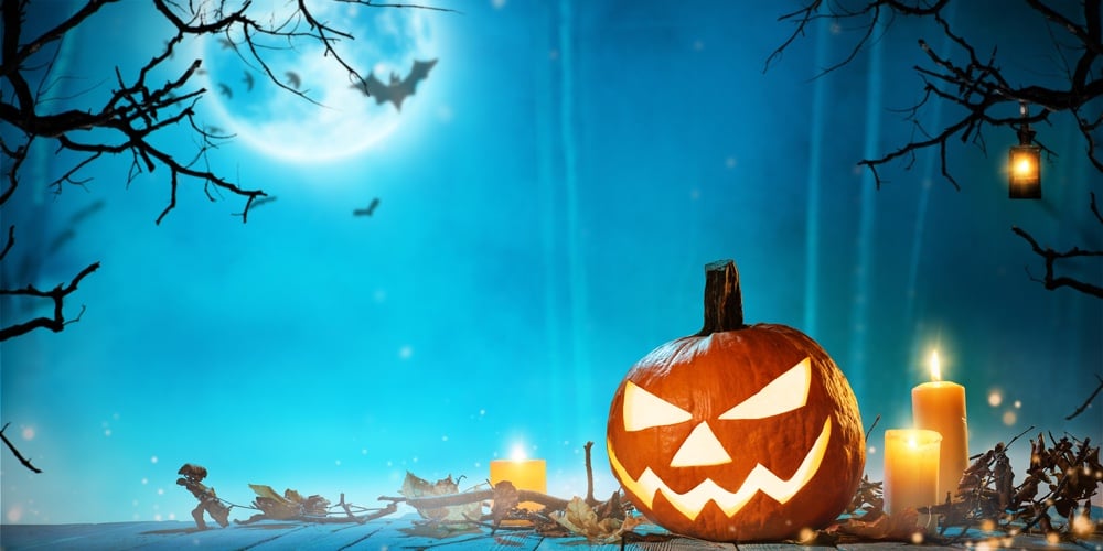 Spooky halloween pumpkin in forest. Scary halloween background with free space for text.