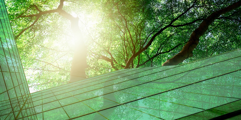 Sustainble Green Building. Eco-friendly Building. Sustainable Glass Office Building With Tree For Re