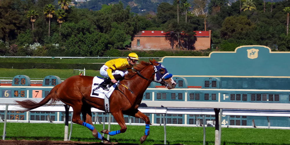 bigstock-Thoroughbred-Horse-Racing-1668378