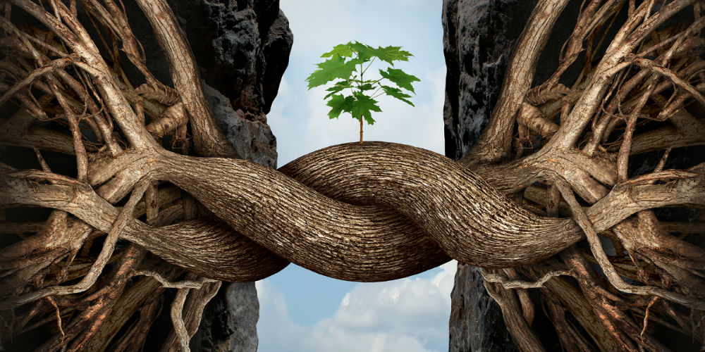 bigstock-Unity-Growth-Concept-82915955