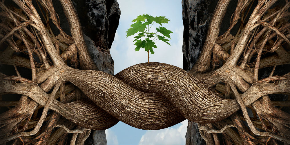 1|2|3|4|bigstock-Unity-Growth-Concept-82915955|Screen Shot 2015-09-04 at 3.19.27 PM|Screen Shot 2015-09-04 at 3.20.52 PM|Screen Shot 2015-09-04 at 3.21.29 PM|Screen Shot 2015-09-04 at 3.22.04 PM