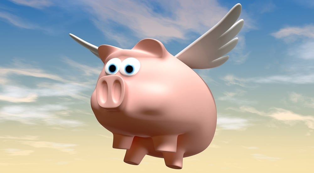 Picture1|When Pigs Fly