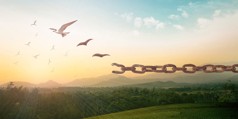 World Freedom Day Concept: Silhouette Of Bird Flying And Broken Chains At Autumn Mountain Sunset Bac