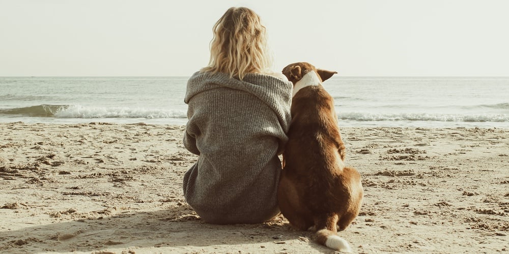 Young Woman Sitting And Hugging Dog On The Beach. Friendship Concept – Woman And Dog Sitting Togethe