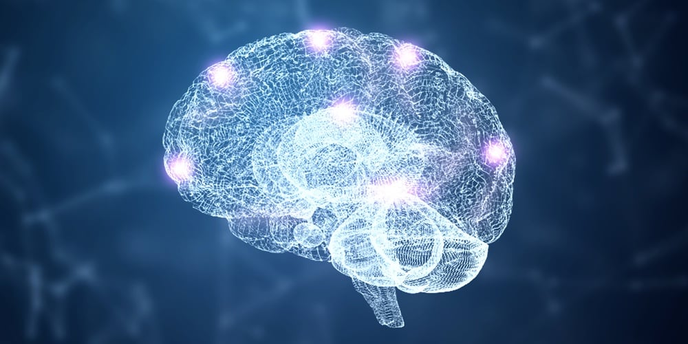 3d Abstract Hud Brain And Nervous System Wireframe Hologram Simulation Node With Lighting On Blue Ba