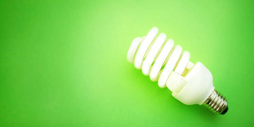 bigstock-energy-saving-light-bulb-12353648