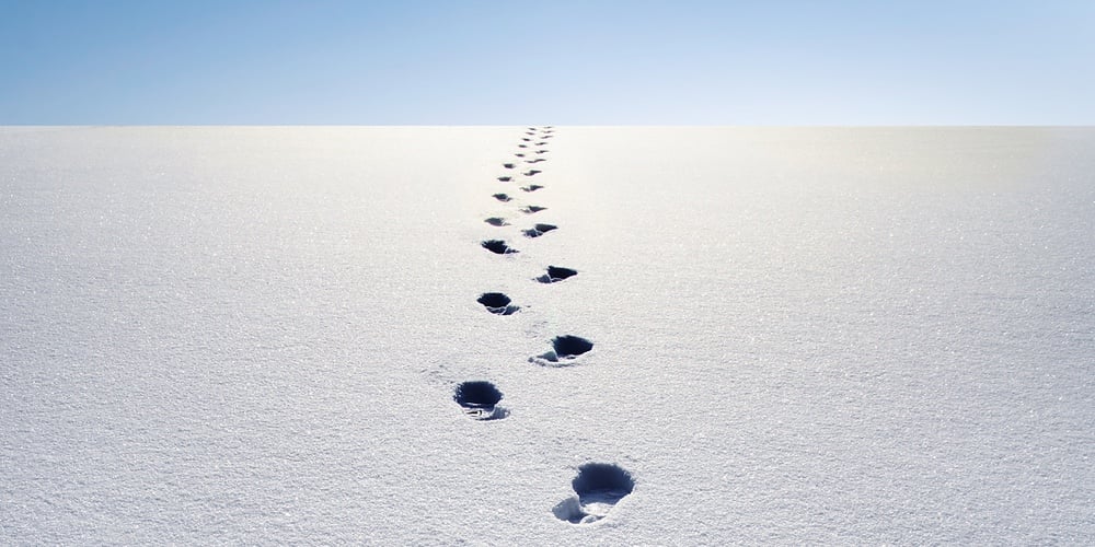 winter path