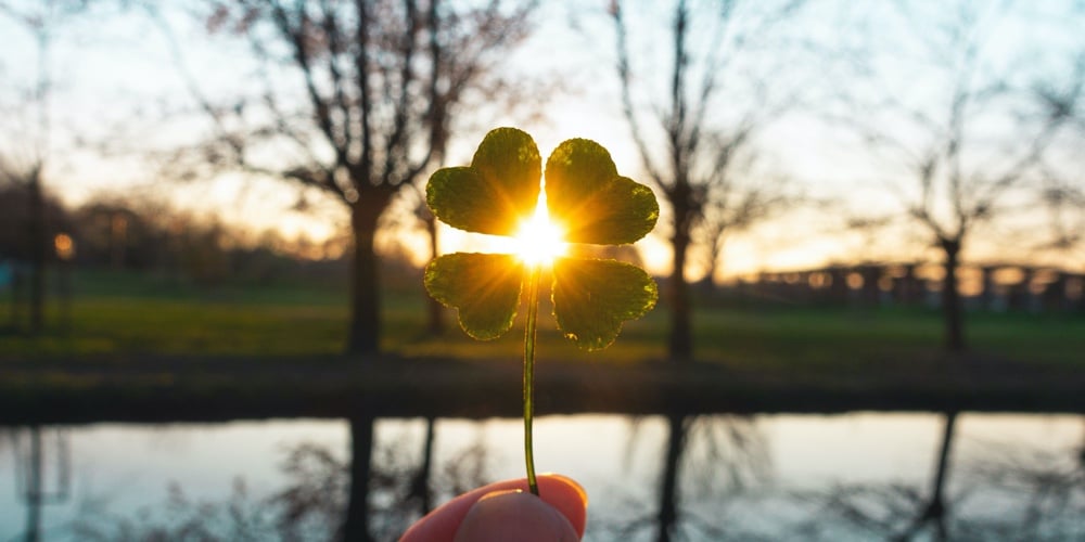 Lucky charm magic four-leaf clover
