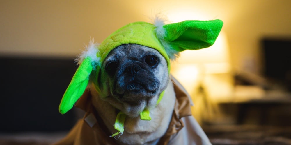 justin-jason-NZlbve4F1xk-unsplash