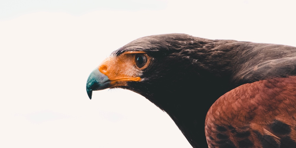 kyran-aldworth-xyD55EZC6X8-unsplash