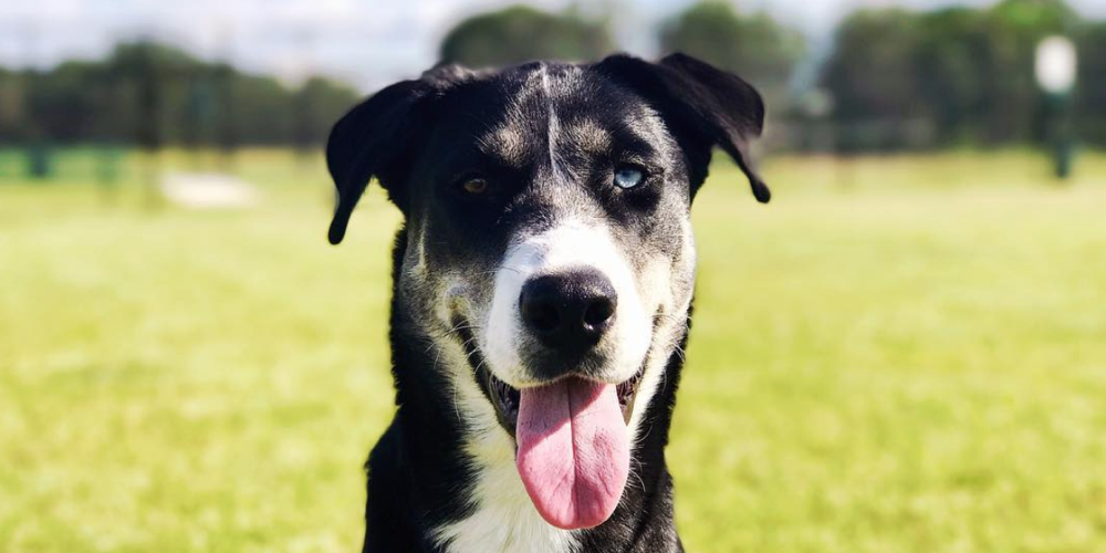 layla-1.jpg