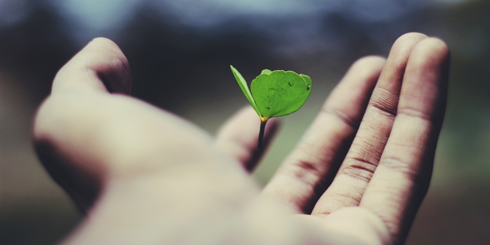 ravi-roshan-_AdUs32i0jc-unsplash