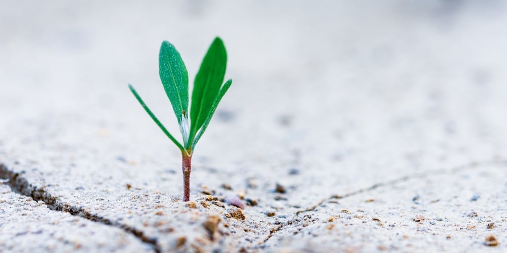 Cumulative Asset Growth Chart|Credit Union Membership Growth