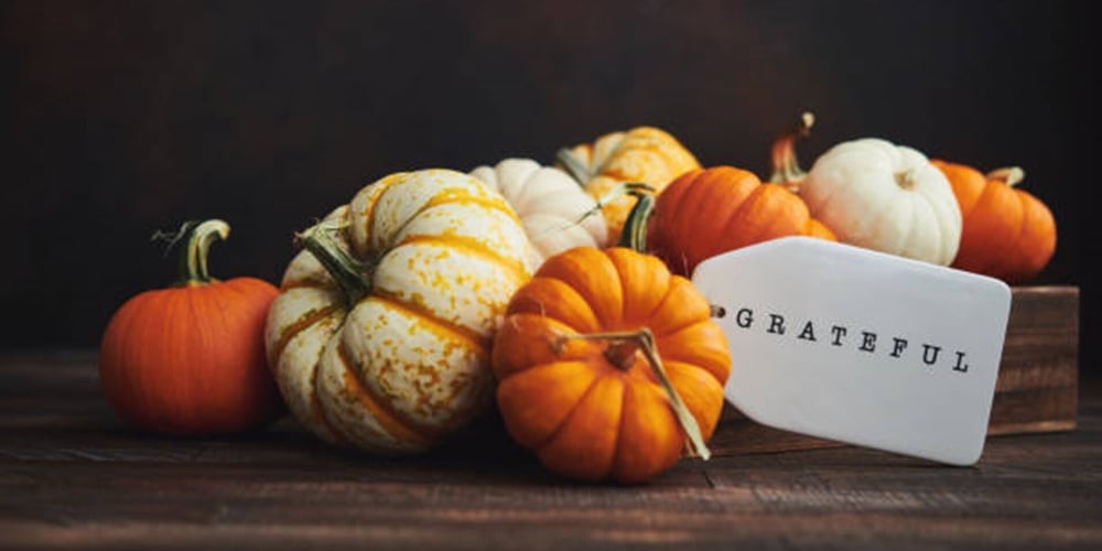 add-weed-h3PWUqxpP_0-unsplash|thanksgiving 2021