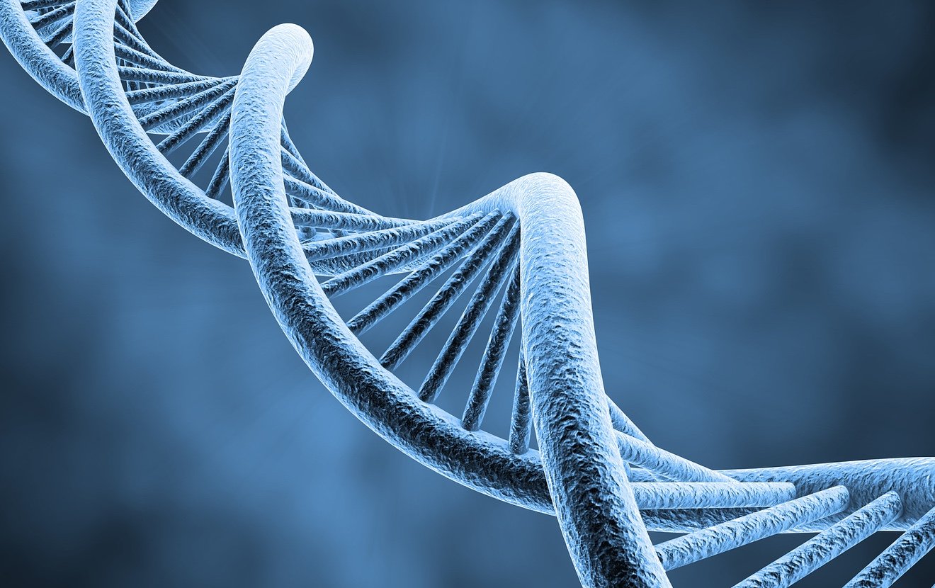 DNA