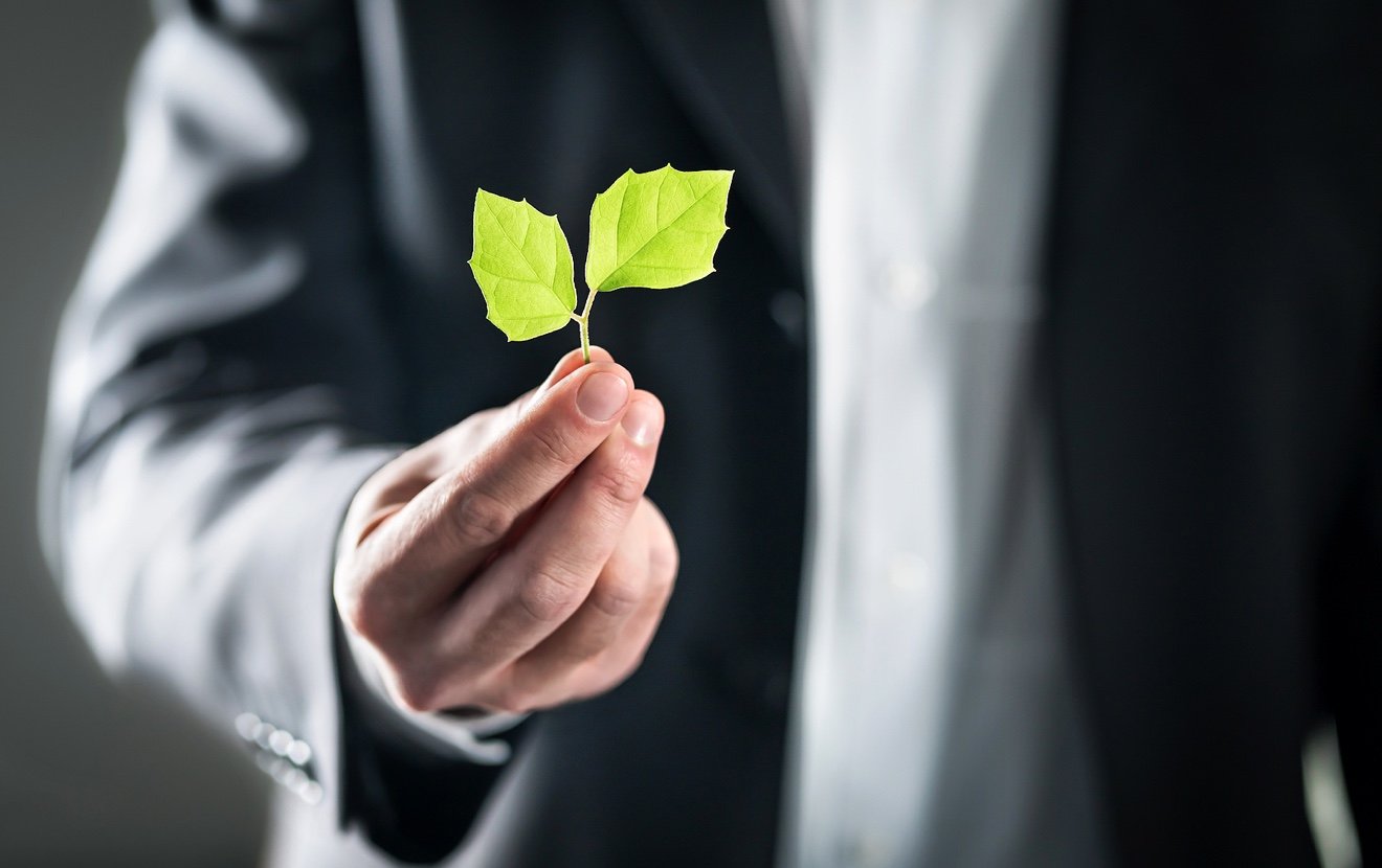 Eco Friendly Environmental Lawyer Or Business Man. Sustainable Development, Climate Change, Ecology