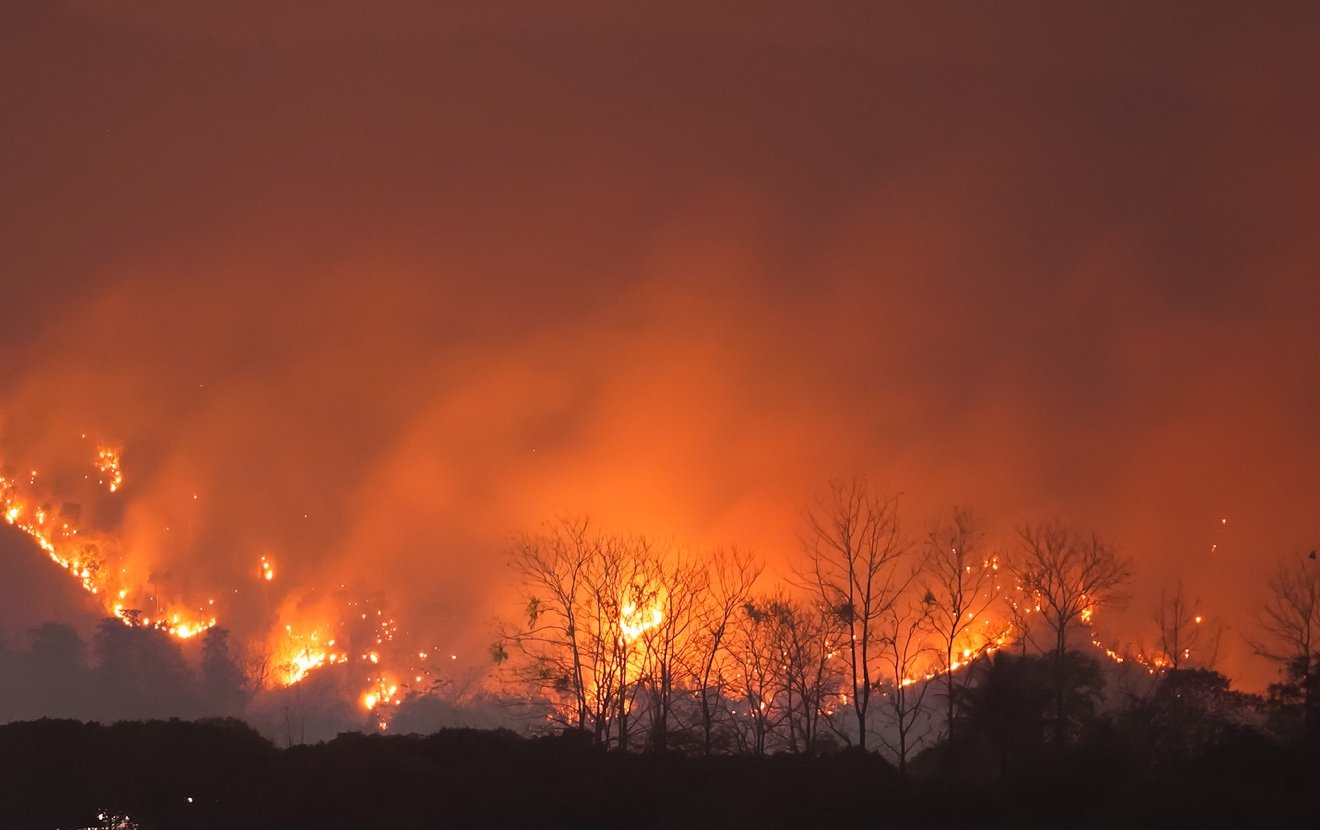 Forest Fire At Night.wildfire Burning Forest Trees In The Mountain.wildfire Caused By Humans.