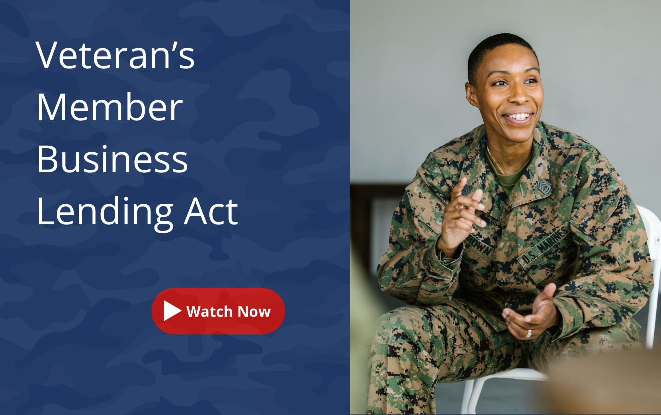 veterans member business lending act